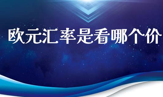 欧元汇率是看哪个价_https://m.apzhendong.com_财务分析_第1张