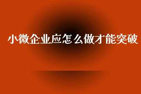 小微企业应怎么做才能突破_https://m.apzhendong.com_财务分析_第1张