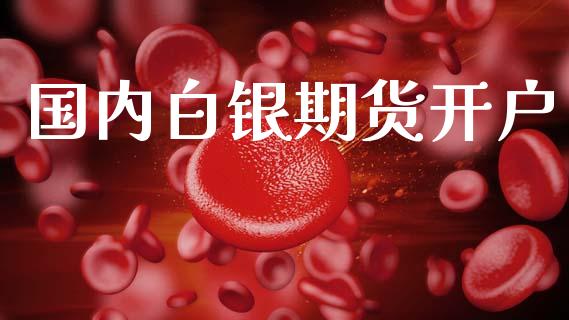 国内白银期货开户_https://m.apzhendong.com_期货行情_第1张