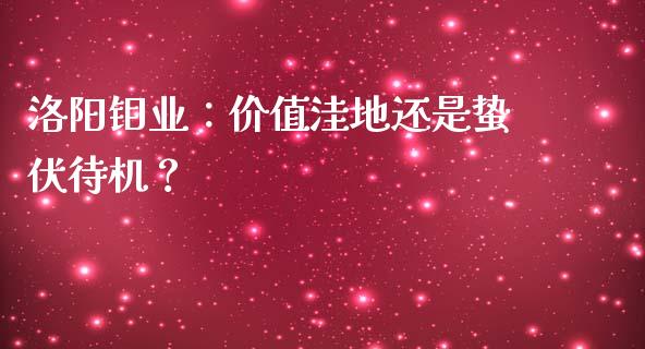 洛阳钼业：价值洼地还是蛰伏待机？_https://m.apzhendong.com_期货行情_第1张