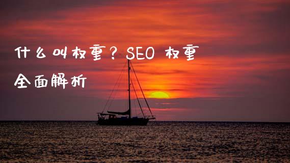 什么叫权重？SEO 权重全面解析_https://m.apzhendong.com_财务分析_第1张