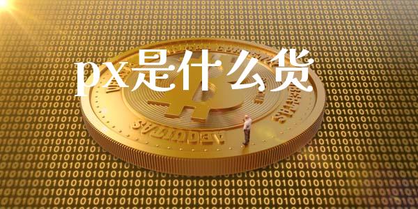 px是什么货_https://m.apzhendong.com_期货行情_第1张