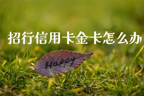 招行信用卡金卡怎么办_https://m.apzhendong.com_财务分析_第1张
