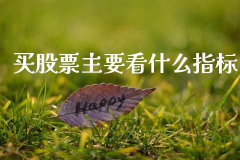 买股票主要看什么指标_https://m.apzhendong.com_全球经济_第1张