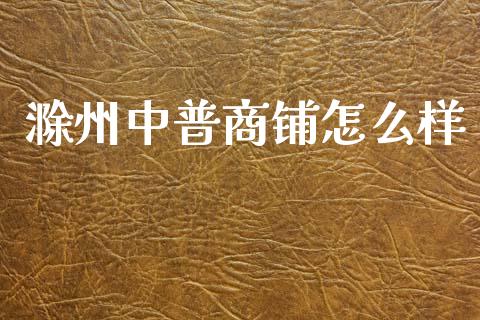 滁州中普商铺怎么样_https://m.apzhendong.com_全球经济_第1张