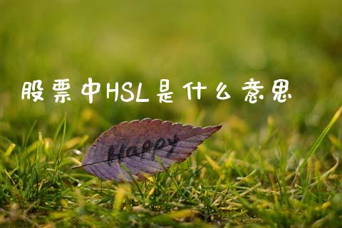 股票中HSL是什么意思_https://m.apzhendong.com_全球经济_第1张
