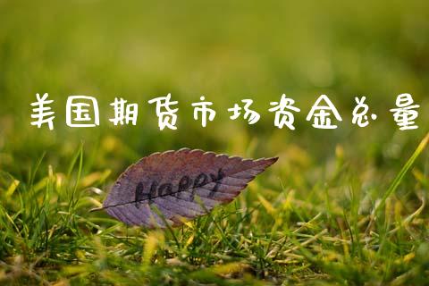 美国期货市场资金总量_https://m.apzhendong.com_财务分析_第1张