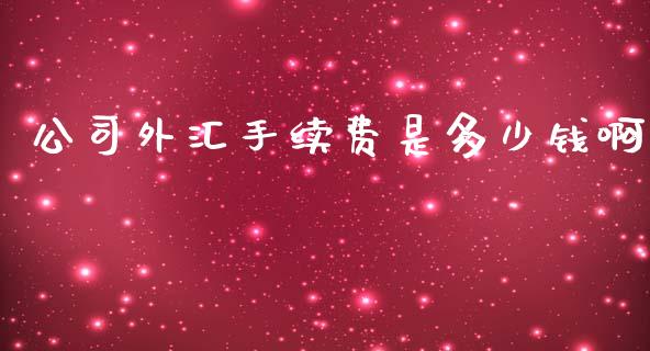 公司外汇手续费是多少钱啊_https://m.apzhendong.com_期货行情_第1张