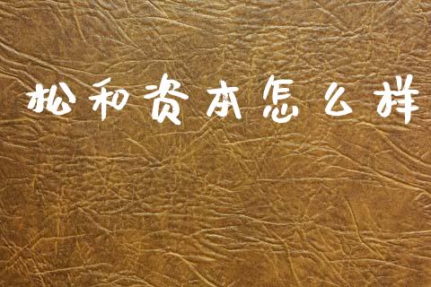 松和资本怎么样_https://m.apzhendong.com_财务分析_第1张