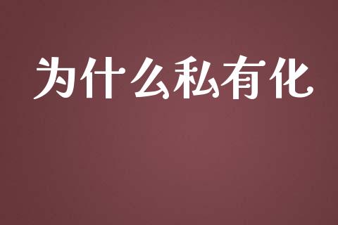 为什么私有化_https://m.apzhendong.com_财务分析_第1张