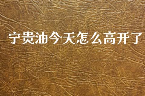宁贵油今天怎么高开了_https://m.apzhendong.com_期货行情_第1张