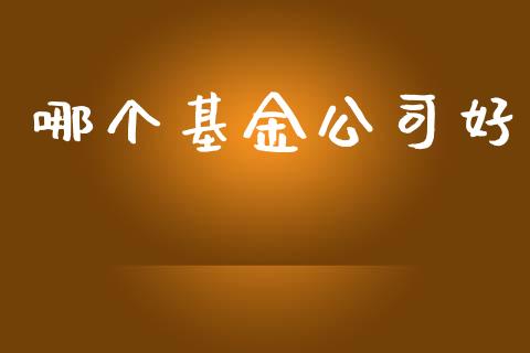 哪个基金公司好_https://m.apzhendong.com_财务分析_第1张