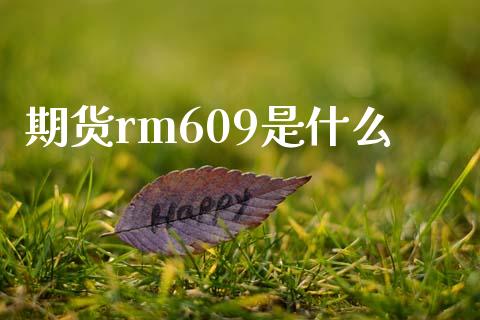 期货rm609是什么_https://m.apzhendong.com_财务分析_第1张
