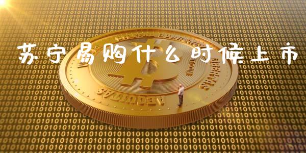 苏宁易购什么时候上市_https://m.apzhendong.com_财经资讯_第1张