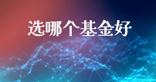 选哪个基金好_https://m.apzhendong.com_全球经济_第1张