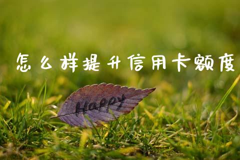 怎么样提升信用卡额度_https://m.apzhendong.com_期货行情_第1张