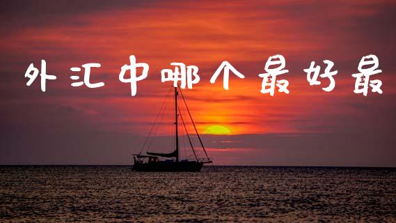 外汇中哪个最好最_https://m.apzhendong.com_全球经济_第1张