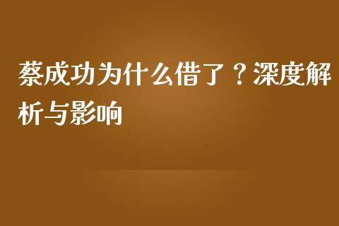 蔡成功为什么借了？深度解析与影响_https://m.apzhendong.com_财务分析_第1张