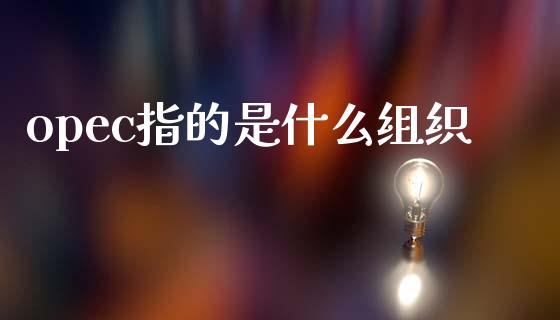 opec指的是什么组织_https://m.apzhendong.com_财务分析_第1张