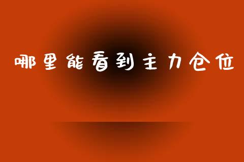 哪里能看到主力仓位_https://m.apzhendong.com_全球经济_第1张