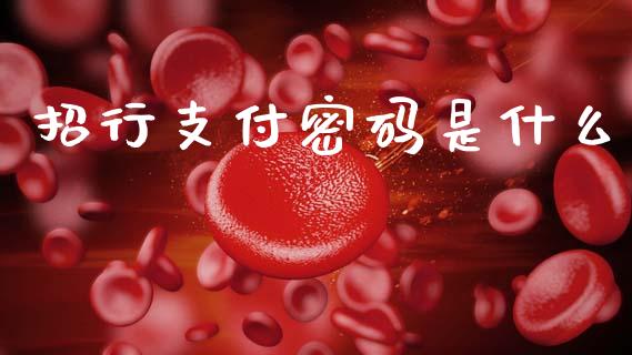 招行支付密码是什么_https://m.apzhendong.com_财务分析_第1张