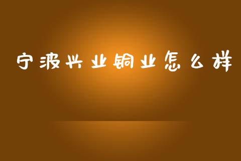 宁波兴业铜业怎么样_https://m.apzhendong.com_期货行情_第1张
