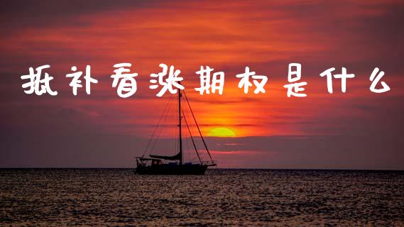 抵补看涨期权是什么_https://m.apzhendong.com_财务分析_第1张