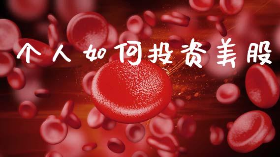 个人如何投资美股_https://m.apzhendong.com_财务分析_第1张