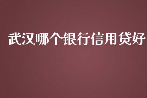 武汉哪个银行信用贷好_https://m.apzhendong.com_财务分析_第1张