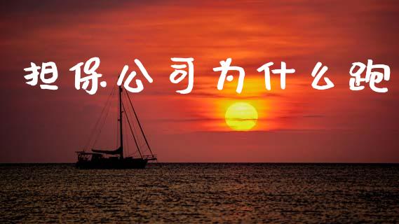 担保公司为什么跑_https://m.apzhendong.com_全球经济_第1张