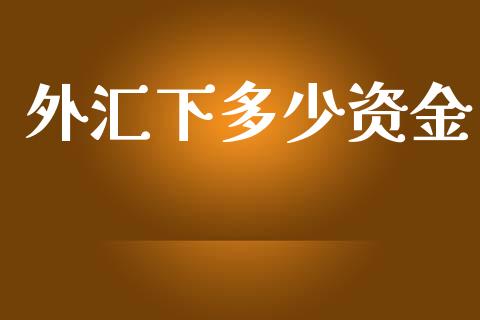 外汇下多少资金_https://m.apzhendong.com_财务分析_第1张