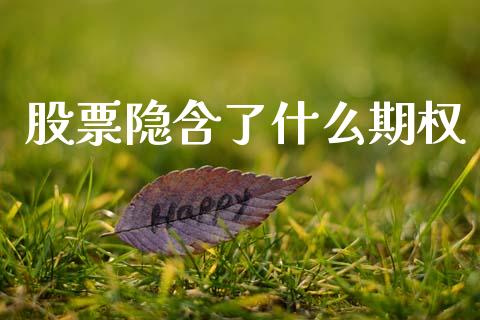 股票隐含了什么期权_https://m.apzhendong.com_全球经济_第1张