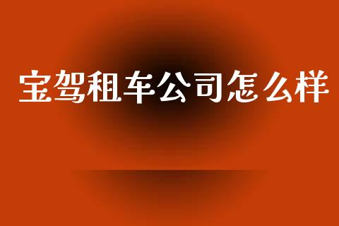 宝驾租车公司怎么样_https://m.apzhendong.com_全球经济_第1张