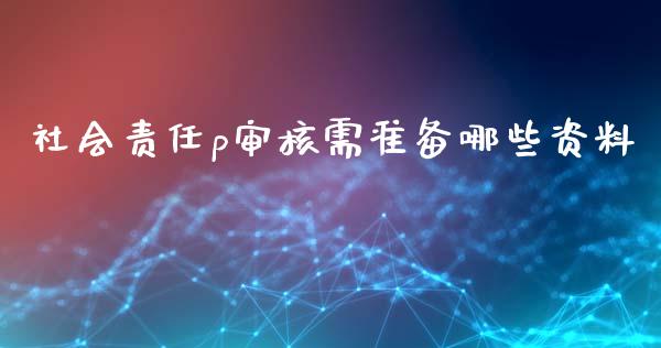 社会责任p审核需准备哪些资料_https://m.apzhendong.com_期货行情_第1张