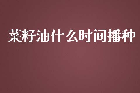 菜籽油什么时间播种_https://m.apzhendong.com_财务分析_第1张