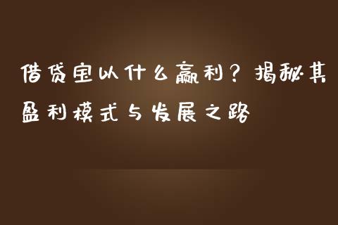 借贷宝以什么赢利？揭秘其盈利模式与发展之路_https://m.apzhendong.com_财经资讯_第1张