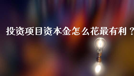 投资项目资本金怎么花最有利？_https://m.apzhendong.com_期货行情_第1张