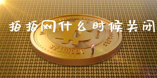 拍拍网什么时候关闭_https://m.apzhendong.com_财务分析_第1张