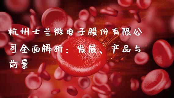 杭州士兰微电子股份有限公司全面解析：发展、产品与前景_https://m.apzhendong.com_财务分析_第1张