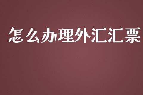 怎么办理外汇汇票_https://m.apzhendong.com_全球经济_第1张