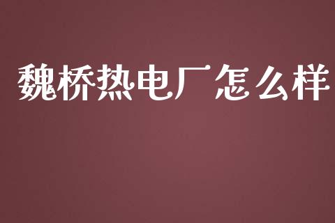 魏桥热电厂怎么样_https://m.apzhendong.com_财经资讯_第1张