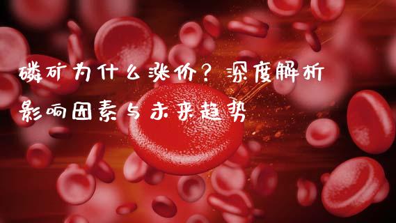 磷矿为什么涨价？深度解析影响因素与未来趋势_https://m.apzhendong.com_期货行情_第1张