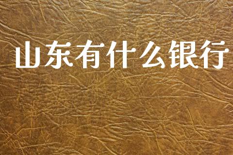 山东有什么银行_https://m.apzhendong.com_期货行情_第1张