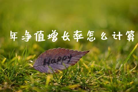 年净值增长率怎么计算_https://m.apzhendong.com_财经资讯_第1张