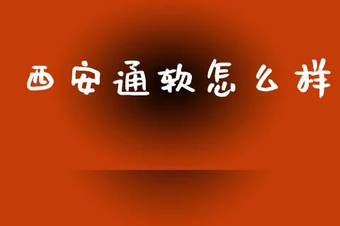 西安通软怎么样_https://m.apzhendong.com_全球经济_第1张
