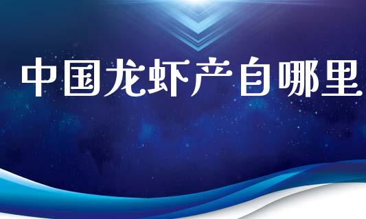 中国龙虾产自哪里_https://m.apzhendong.com_财务分析_第1张