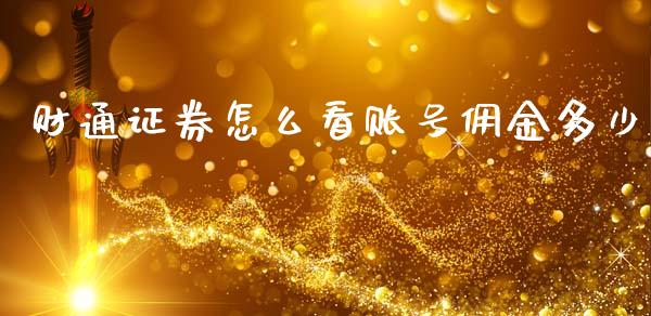 财通证券怎么看账号佣金多少_https://m.apzhendong.com_财务分析_第1张