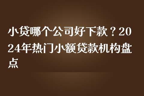 小贷哪个公司好下款？2024年热门小额贷款机构盘点_https://m.apzhendong.com_期货行情_第1张