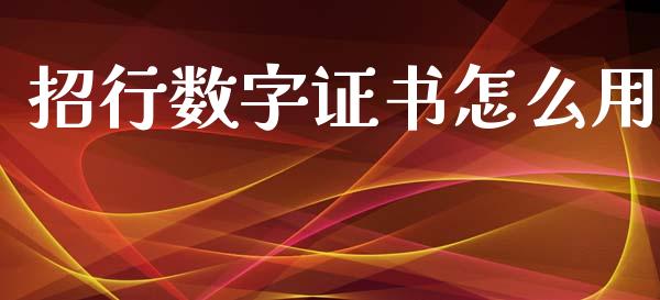 招行数字证书怎么用_https://m.apzhendong.com_全球经济_第1张