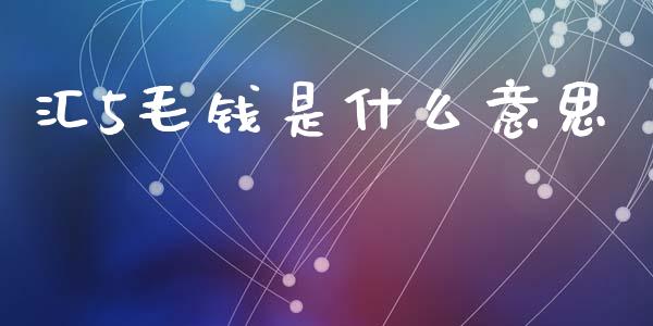 汇5毛钱是什么意思_https://m.apzhendong.com_财经资讯_第1张